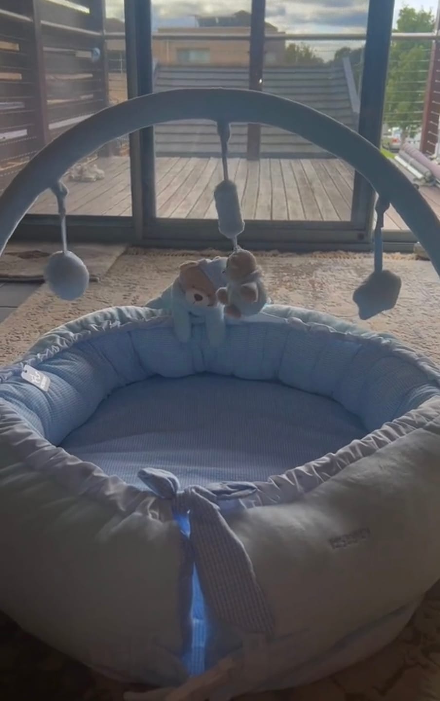 Customer photo review of Multifunction Baby Nest | Blue