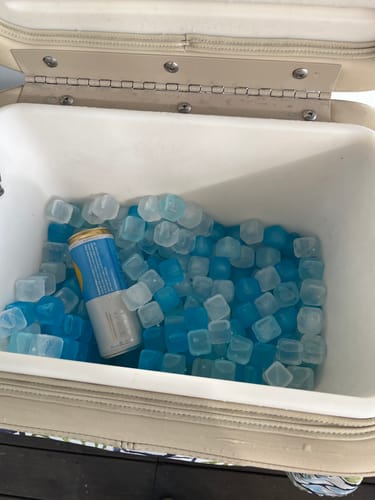 Customer photo review of MEGA FREEZE - 10.5lb