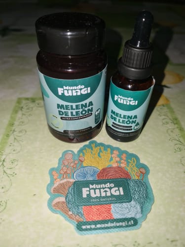 Customer photo review of Melena de León Cápsulas + Gotas - Extracto Ultra Concentrado