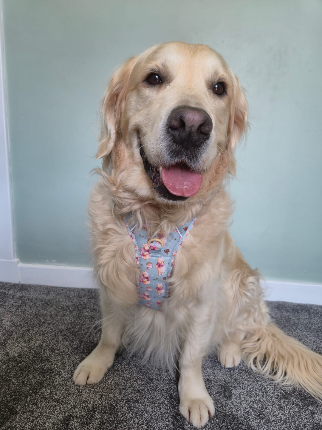 Customer photo review of Disney© Tough Trails™ Harness - Winnie The Pooh