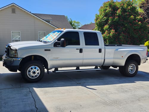 Customer photo review of Absolute Acid