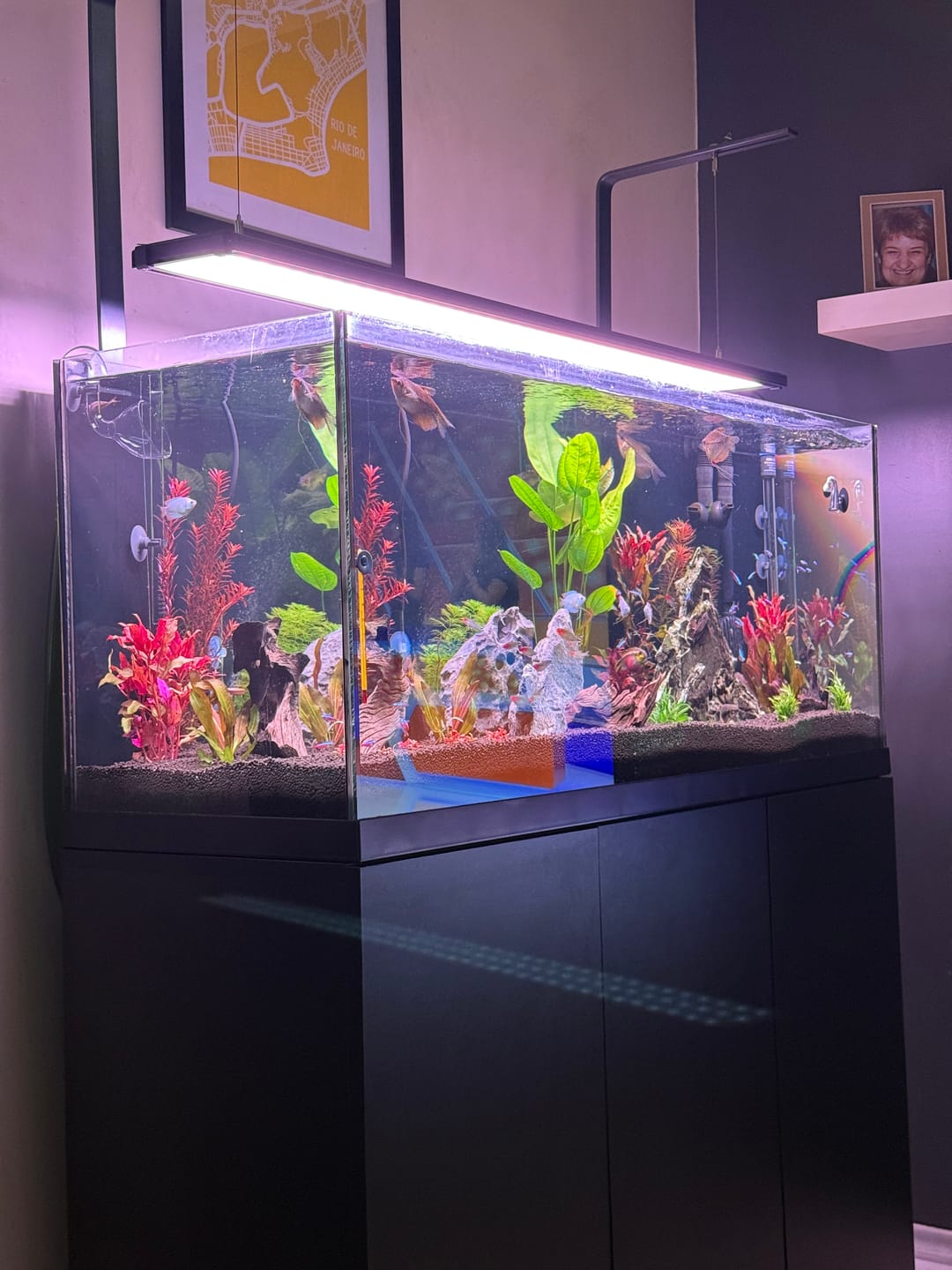 Customer photo review of Chihiros WRGB II Pro LED Light