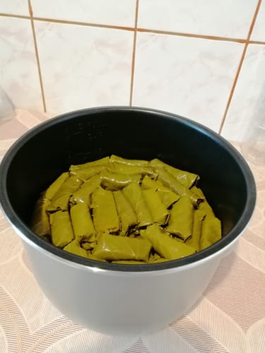 Customer photo review of Multicooker Novio EasyCook