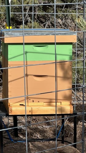 Customer photo review of BeeCastle Hives Natural Hive 10 Frame 3 Layer:Crafted with 2 Deep Cedarwood Boxes and 1 Cedarwood Super Box,Including Premium Wooden Frames and Beeswax Plastic Foundation.