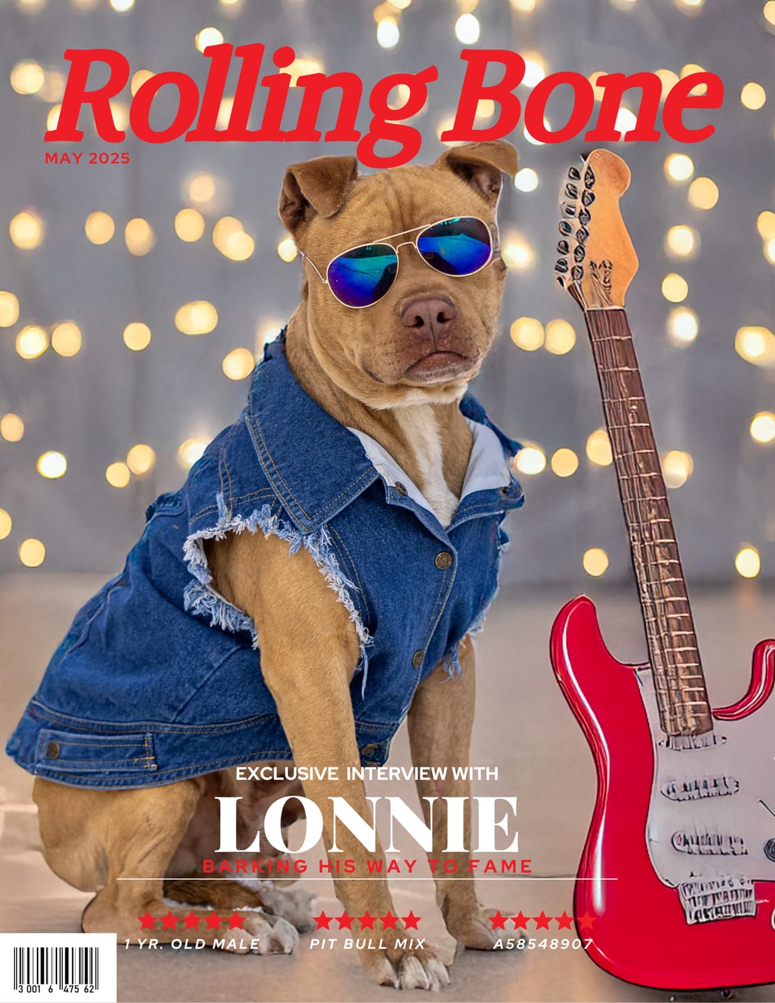 Customer photo review of Denim Dog Vest Raw Blue - Unpatched