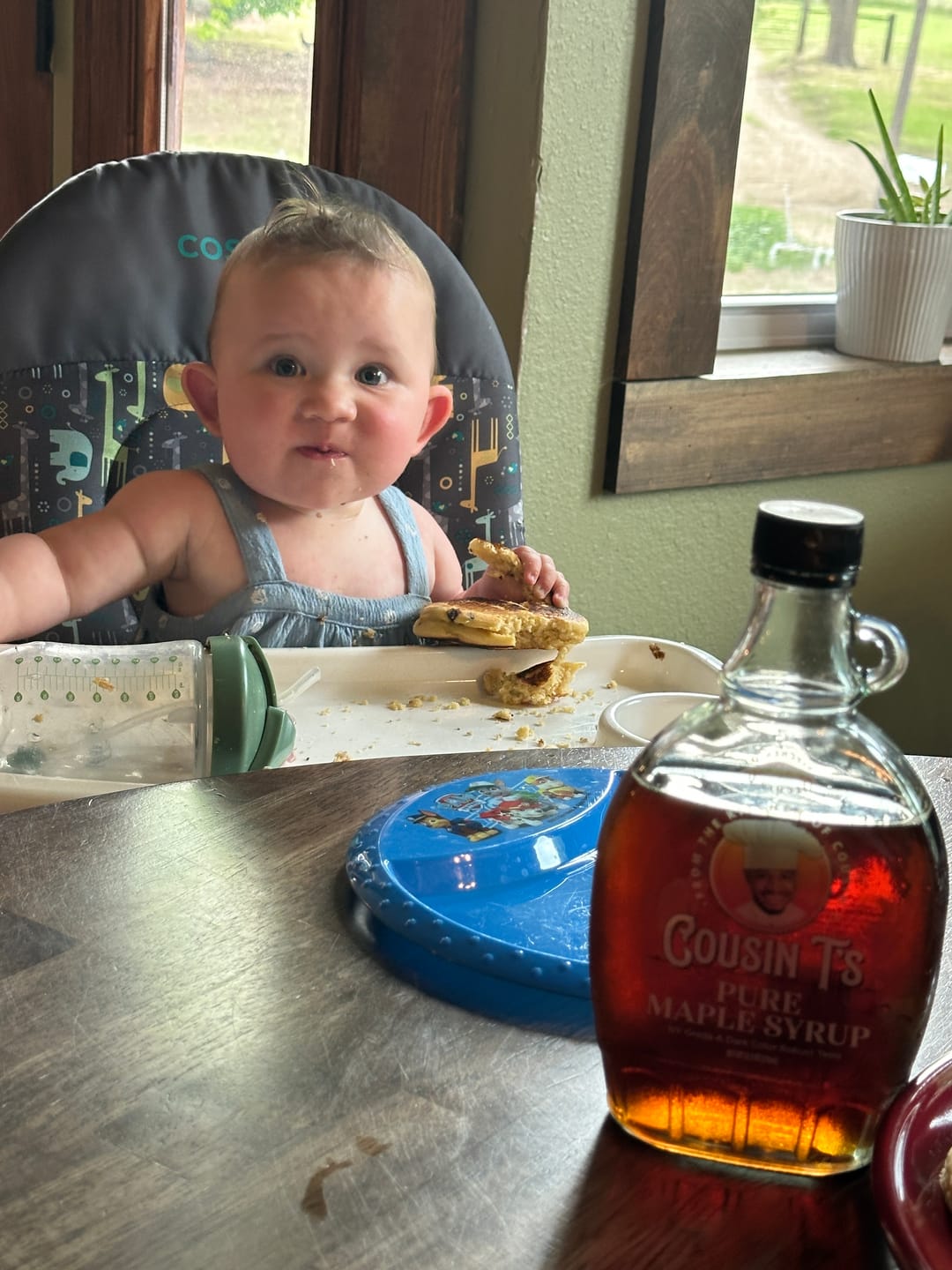 Customer photo review of Cousin T's Gourmet Gluten Free Chocolate Chip Pancake Mix