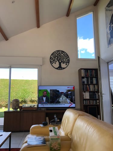 Customer photo review of Décoration Murale en Métal - Arbre de vie (Platane)