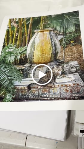 Customer video review of 7x10 Giclee Fine Art Prints