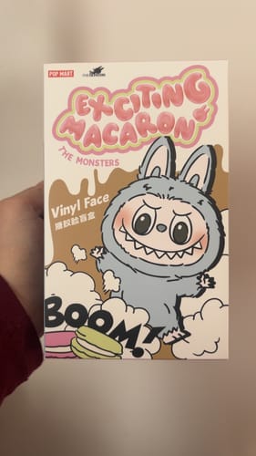 Customer photo review of Pop Mart Labubu The Monsters Tasty Macarons Vinyl Plush Pendant Single Blind Box
