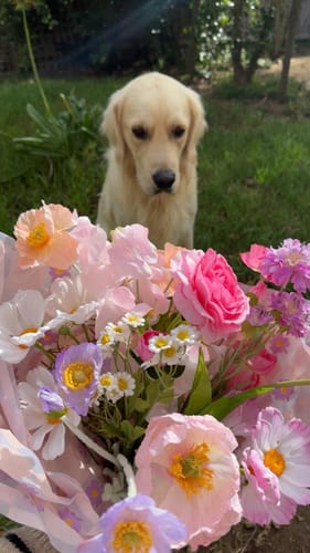 Customer photo review of Pastel Silk Flowers