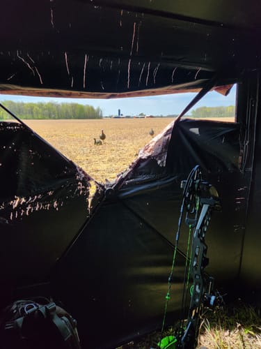 Customer photo review of Beast Turkey Decapper Arrow