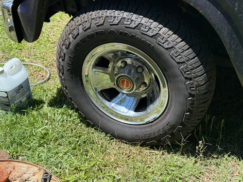 Customer photo review of Absolute Acid