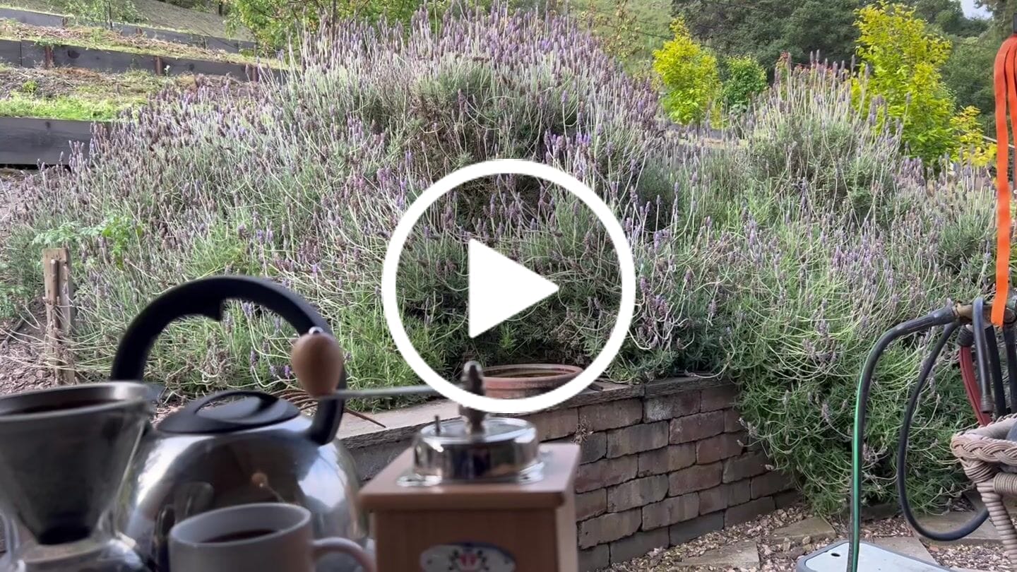 Customer video review of To The Stars Really Good Coffee