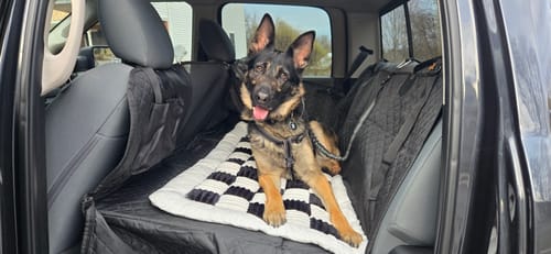 Customer photo review of NEW Waterproof Hard Bottom Car & Truck Seat Foldable Hammock Cover With Storage Pockets, Side Flaps, Headrest Straps, Seat Anchors, & Mesh Window (+FREE SAFETY BELT!)