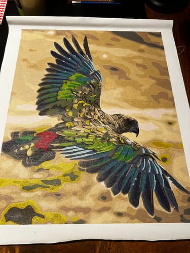 Customer photo review of Kea