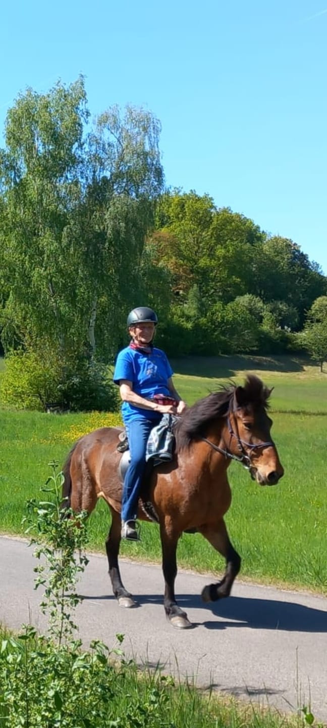 Customer photo review of Icelandic Horse: Futter - Agrobs Weidemineral-Cobs 25 kg regelmäßige Lieferung