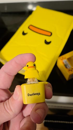 Customer photo review of Quackey - Fidget Toy that Quacks!