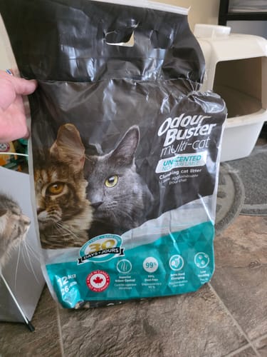 Customer photo review of Odour Buster - Litière pour chat