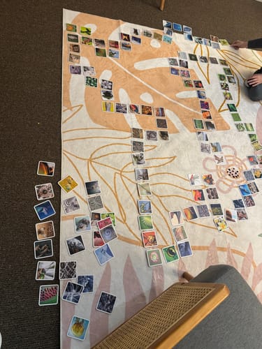 Customer photo review of OuiSi Nature