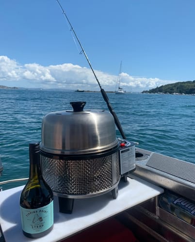 Customer photo review of COBB Grill Gas