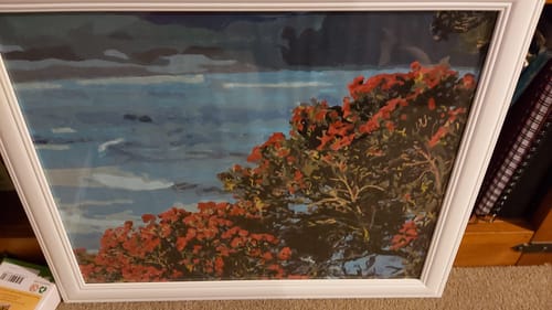 Customer photo review of Pohutukawa Tree