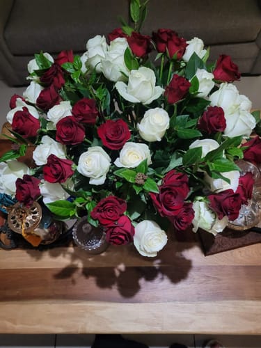 Customer photo review of Midnight & Moonlight