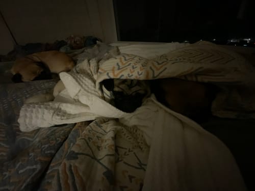 Customer photo review of Hazea Muslin Blanket - Soft Pebble