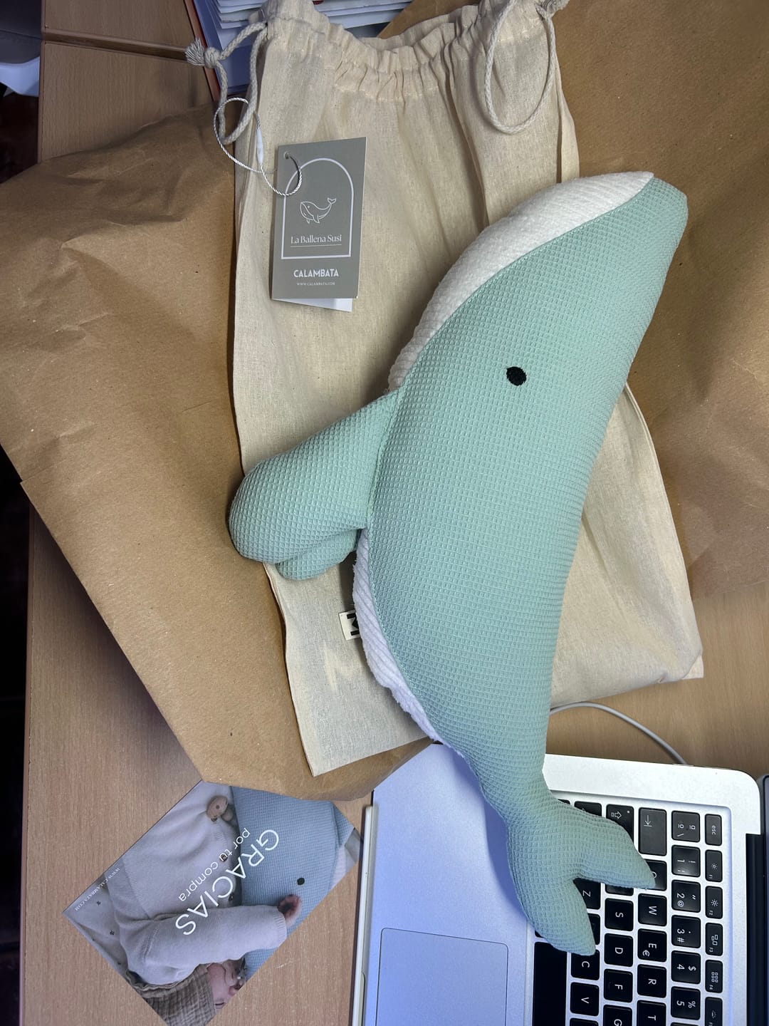 Customer photo review of Peluche Ballena Susi - MENTA
