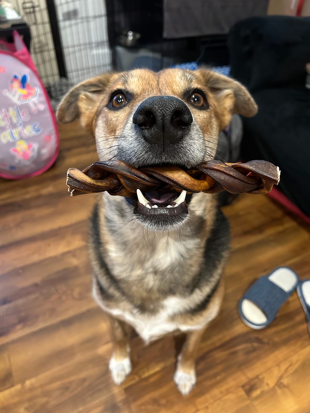 Customer photo review of 6 Inch Braided Jerky Stick