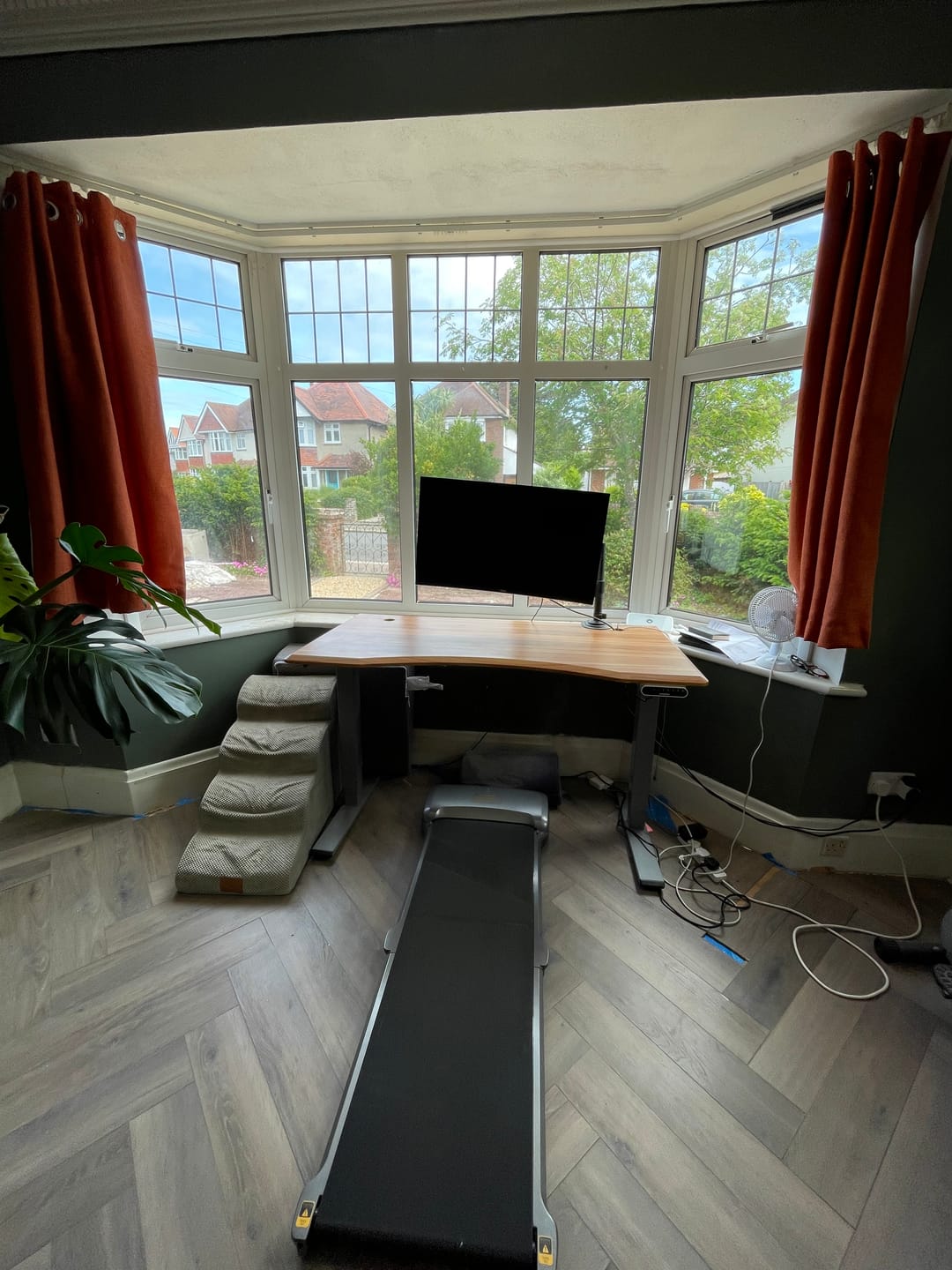 Customer photo review of WalkingPad C1