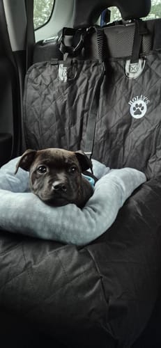 Customer photo review of Car Seat Cover