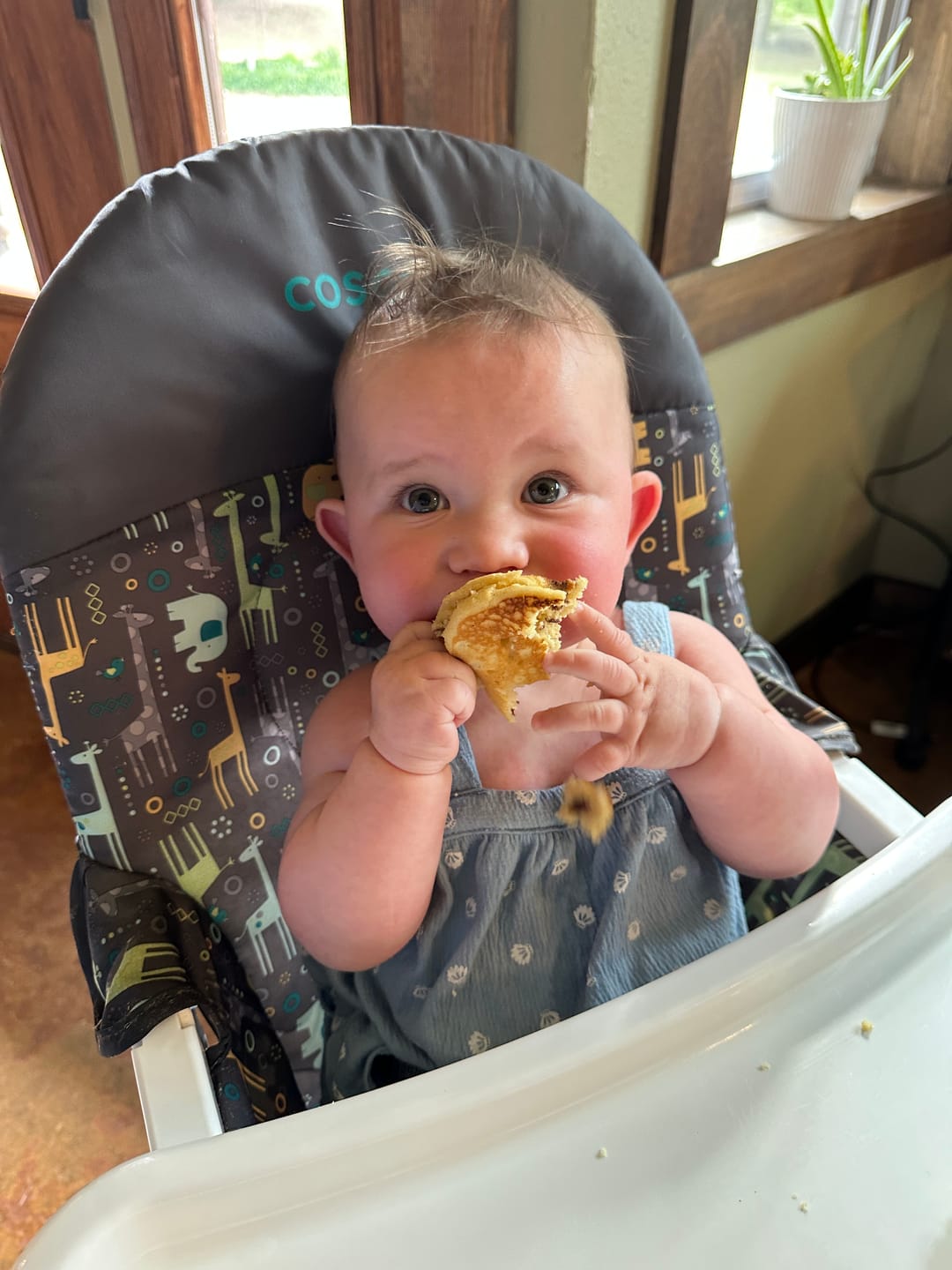 Customer photo review of Cousin T's Gourmet Gluten Free Chocolate Chip Pancake Mix