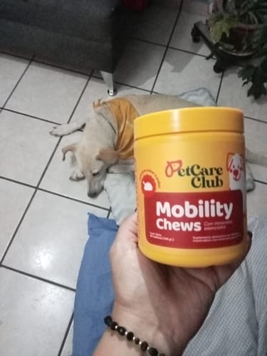 Perro de Erika
