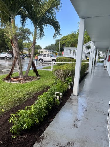 Customer photo review of Green Arboricola