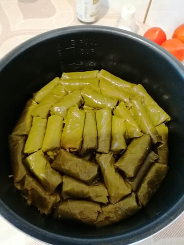 Customer photo review of Multicooker Novio EasyCook