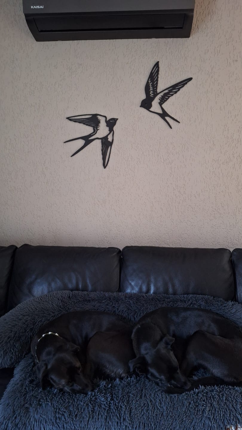 Customer photo review of Wanddecoratie dieren | Zwaluw koppel