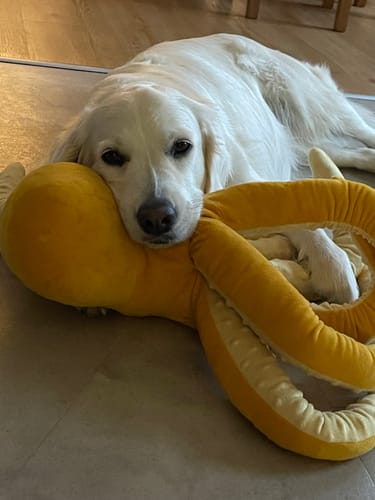 Customer photo review of Nature Protect