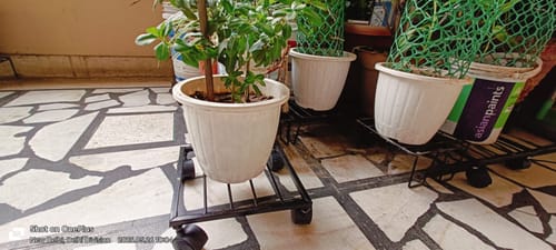 Customer photo review of United Crafts Rozy Wheel Pot Stands for Planters