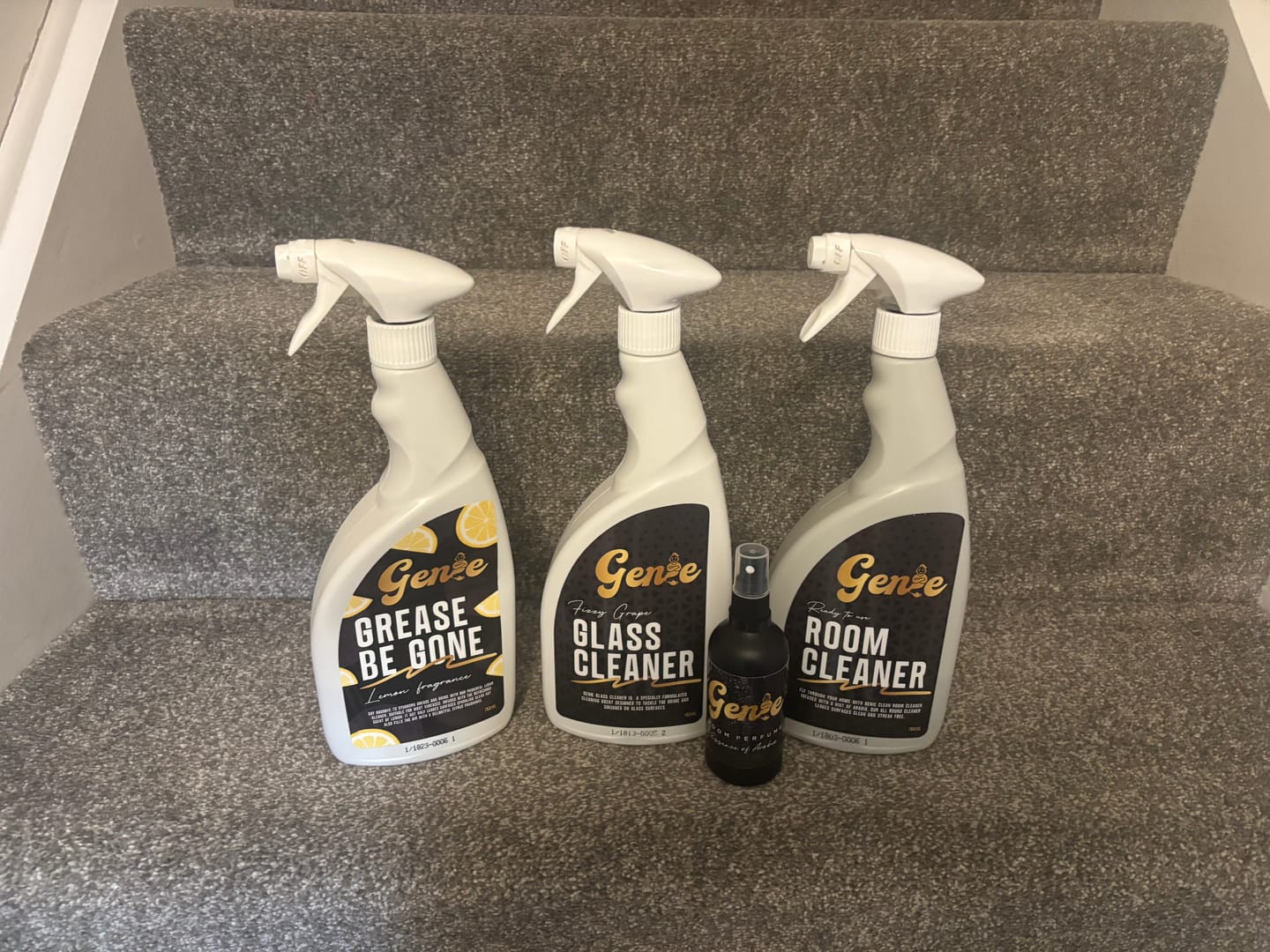 Customer photo review of GENIE BUNDLE BOX