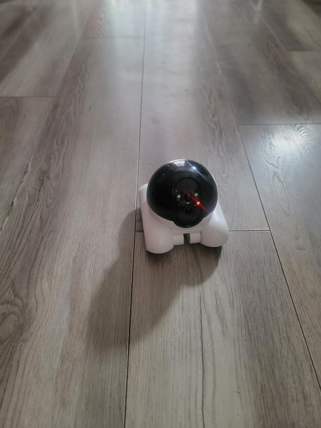 Customer photo review of Blinky Bot™ PRO