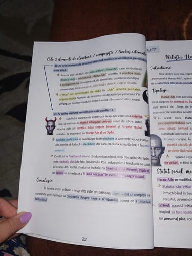 Recenzie cu fotografie de la un client despre Carte Română Bacalaureat Bacademia (temă și viziune, caracterizare, relație) - Ediția II