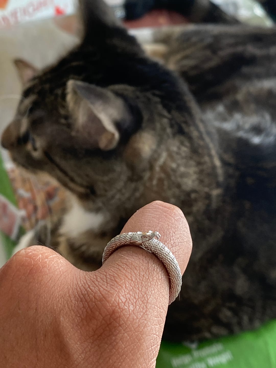 Customer photo review of OUROBORUS RING