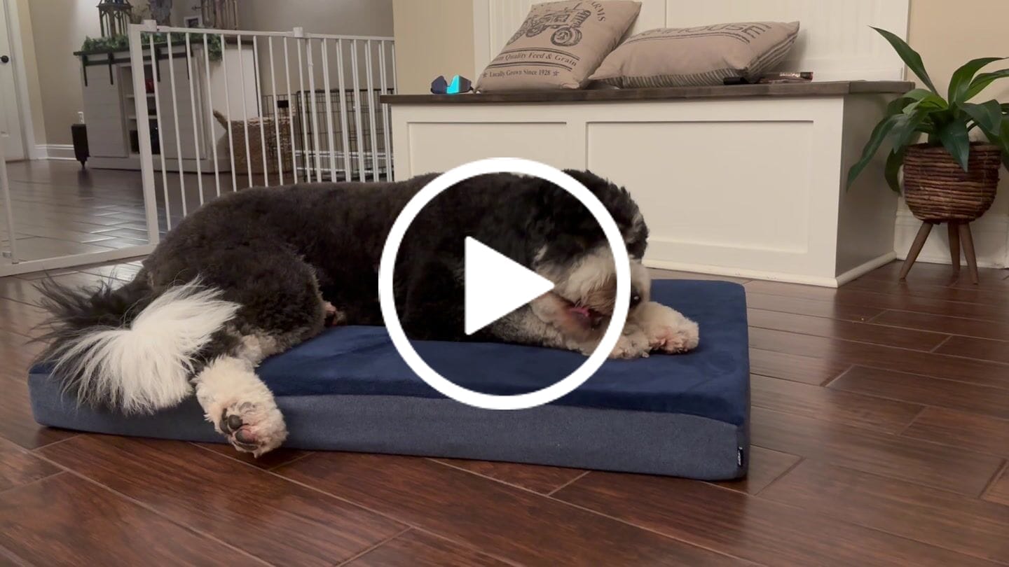 Customer video review of Coconut Yak Chews