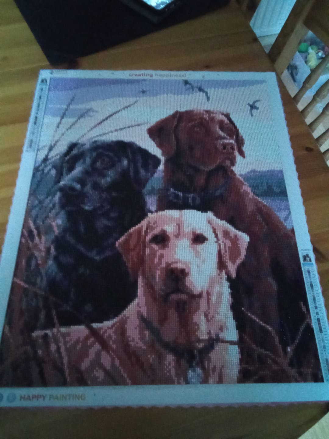 Customer photo review of 3 Labradorer