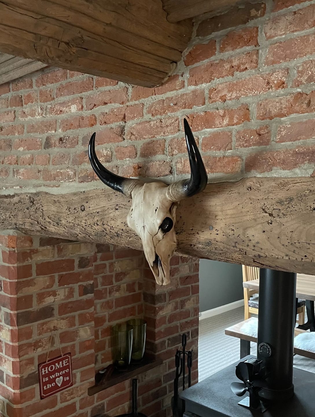 Customer photo review of Wall Mounted Bison Head Skull Large