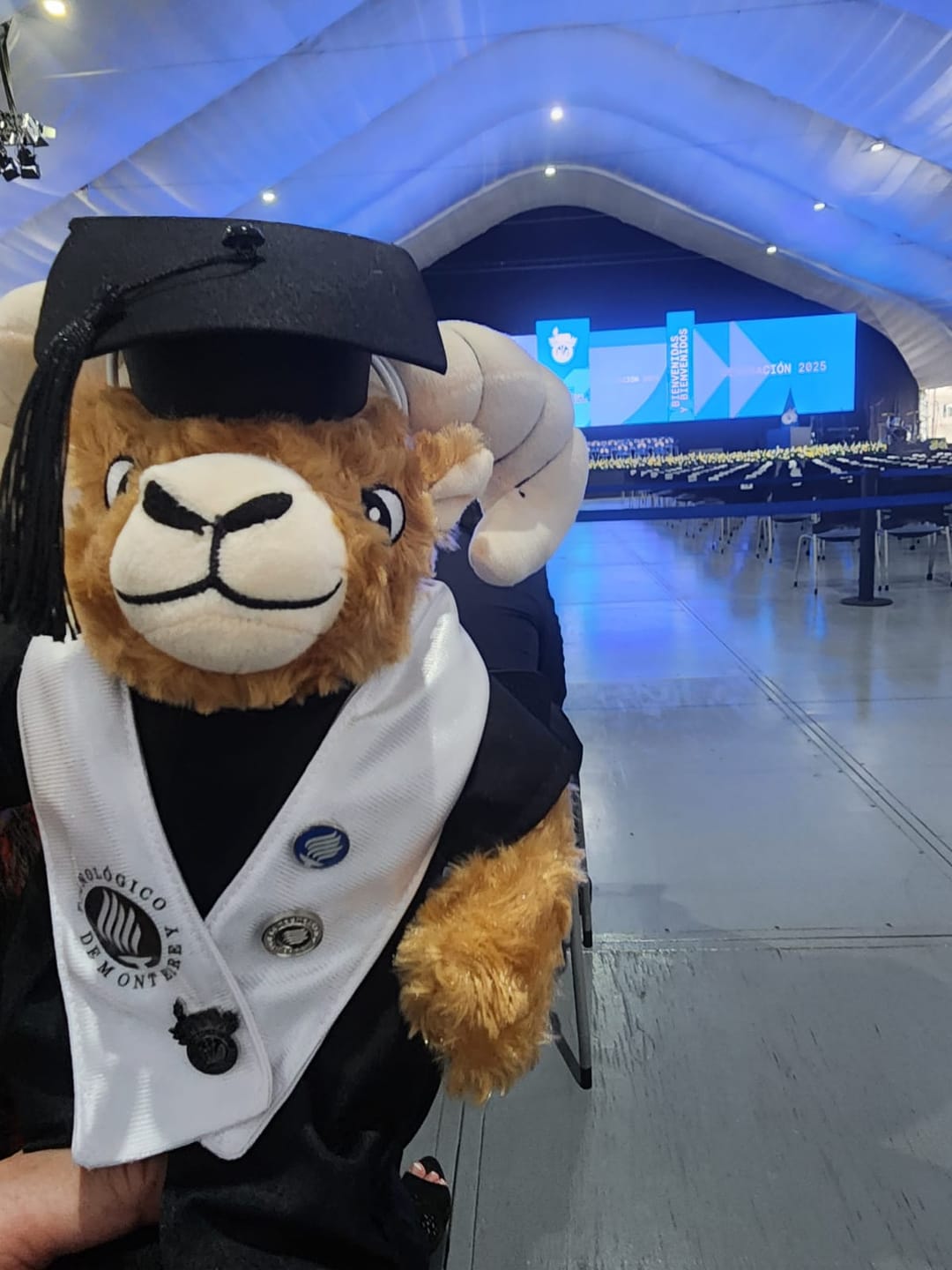 Customer photo review of TEUS Graduado Prepa