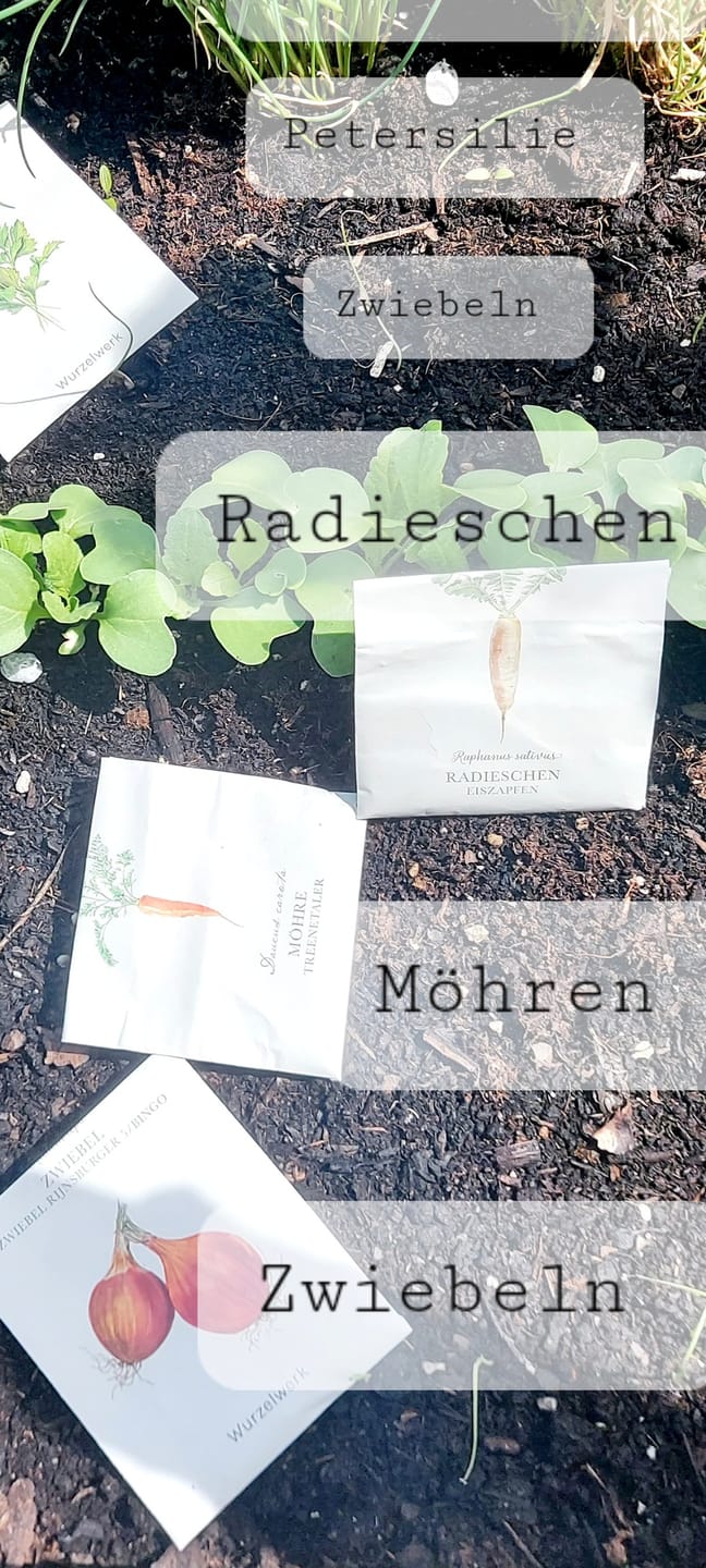 Customer photo review of Saatgut-Abobox 'Gartengemüse'