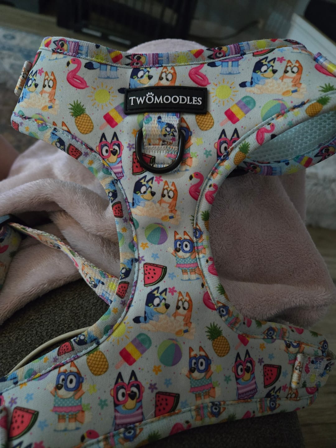 Customer photo review of HARNESS ADJUSTABLE - BEACH BLUEY