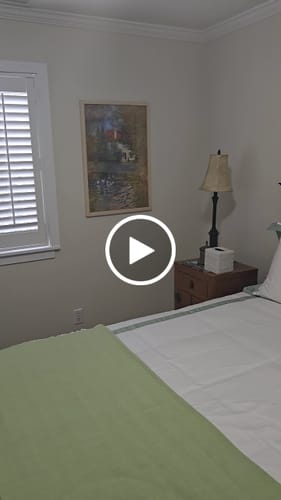 Customer video review of The Geese (1874) by Claude Monet