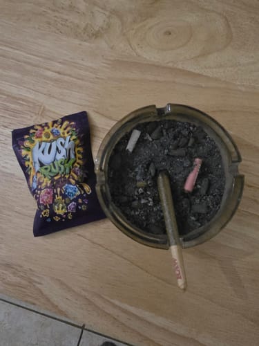 Customer photo review of Purple Haze THC-A Flower (sativa)